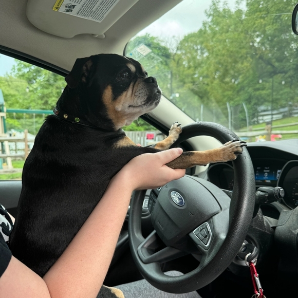 Meet your Posher, Constance - Picture 5 of 10